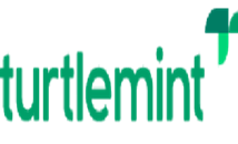 Turtlemint Fintech Solutions Limited Logo